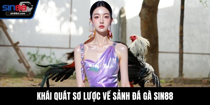 Khái quát sơ lược về sảnh đá gà SIN88