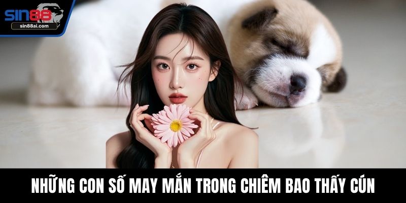 Những con số may mắn trong chiêm bao thấy cún