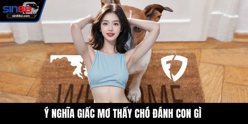Ý nghĩa giấc mơ thấy chó đánh con gì 